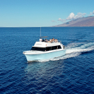 Maui Boat Trips  Small Group Boat Tours on Maui Hawaii