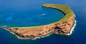 Morning Molokini crater Snorkel Tour.