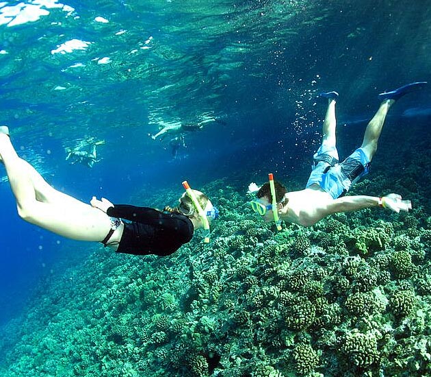 Best Maui Snorkel and SNUBA tour.