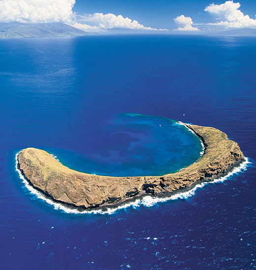 Best Morning Molokini Crater Tour