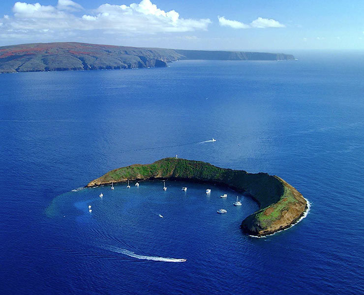 Molokini crater Tour with Underwater Marine Life