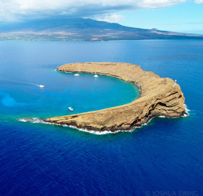 Morning Molokini crater tour.