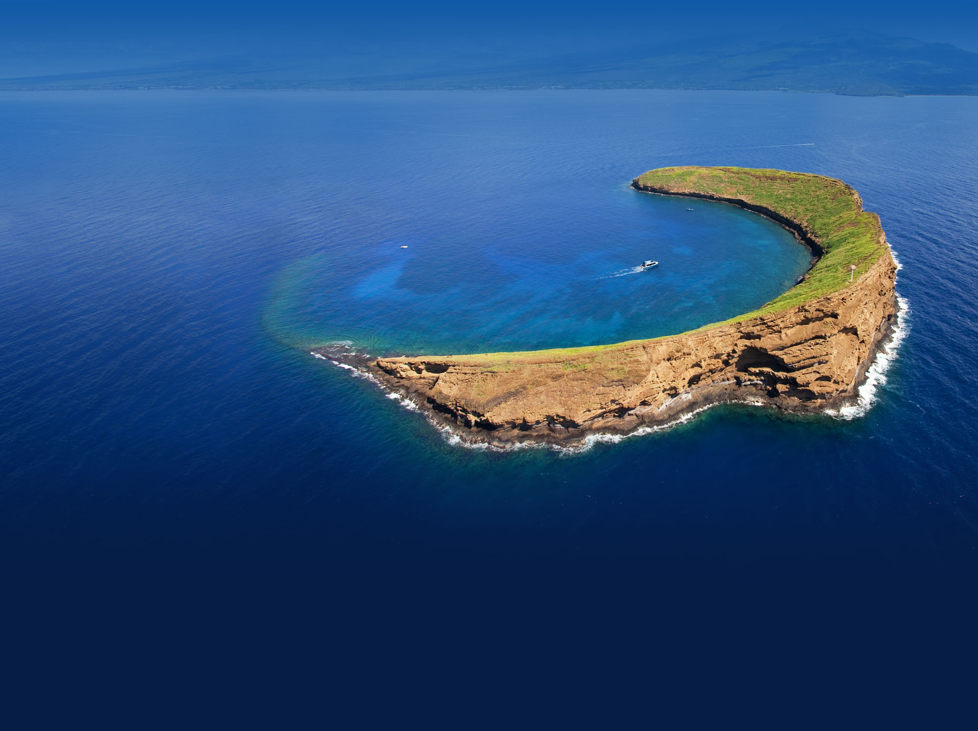 molokini snorkel cruise