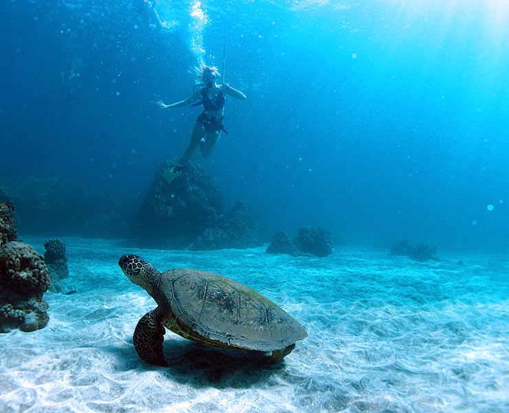 SNUBA diving and Snorkel Cruise