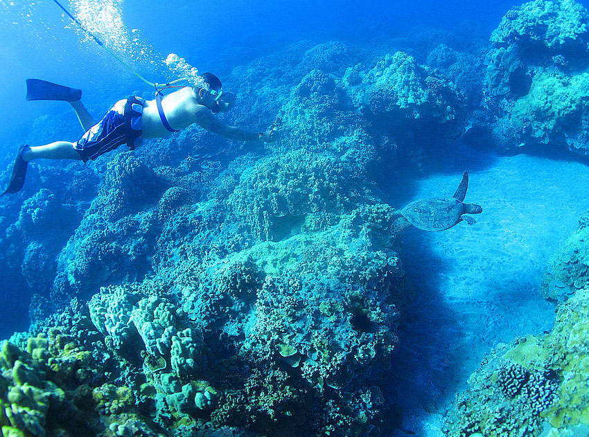 snorkeling boat trips maui