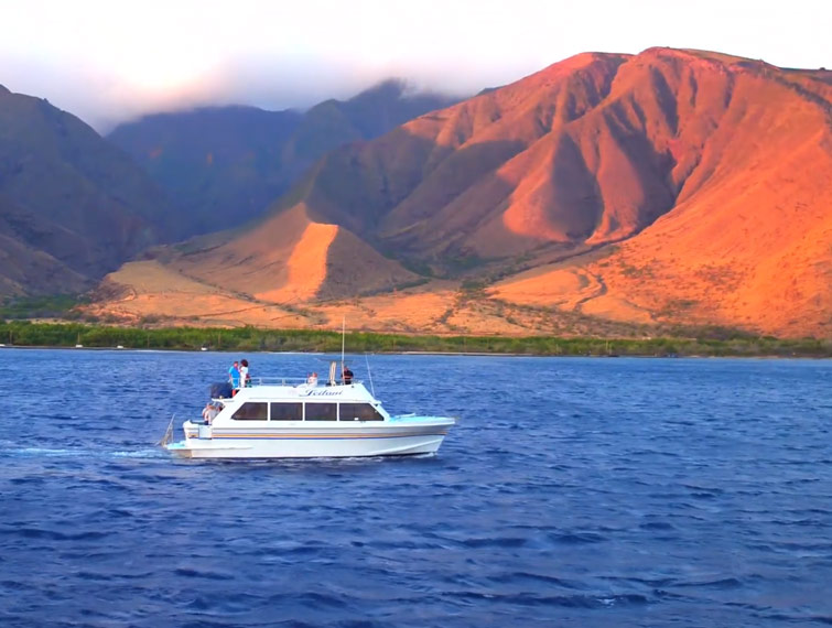 private boat charter maui maui private boat charters private boat rentals in maui private boat charter maui maui private boat charters private boat rentals in maui