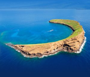 Molokini Crater tour on the top Maui private charter boat.