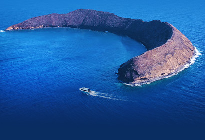 Molokini Crater on the Best Day on Maui morning tour.