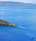 Best Molokini Morning Tour