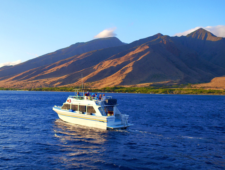 Maui Private Boat Charters  Private Boat Rentals in Maui Hawaii
