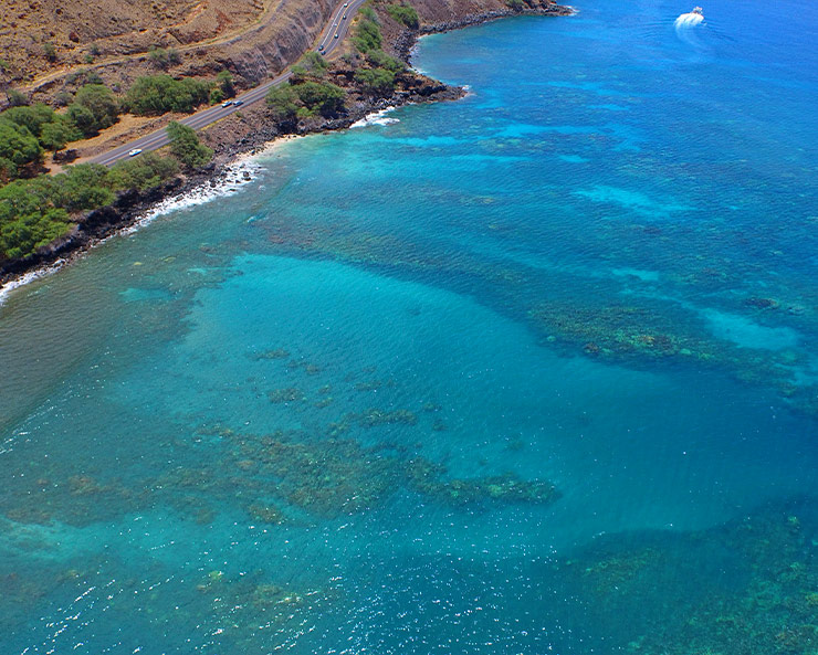 Coral Gardens snorkel spot Maui