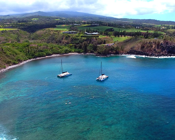 Honolua Bay best snorkeling