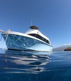 Morning Molokini Turtle