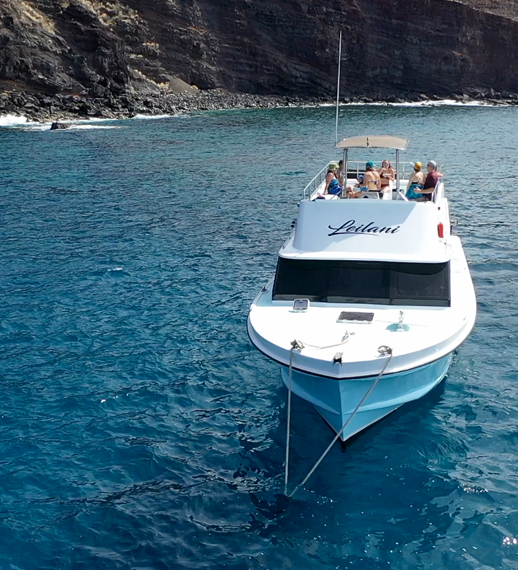 The best private charter and snorkel adventure cruise on Maui.