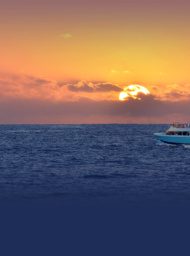 Best Maui Private Sunset Cruise