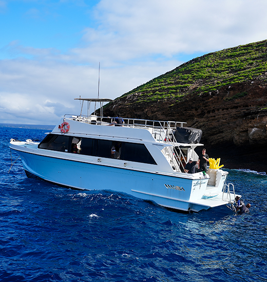 Best Molokini Snorkel Tour and private charters.